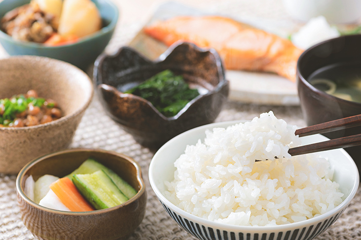 正しい栄養の摂り方を知る