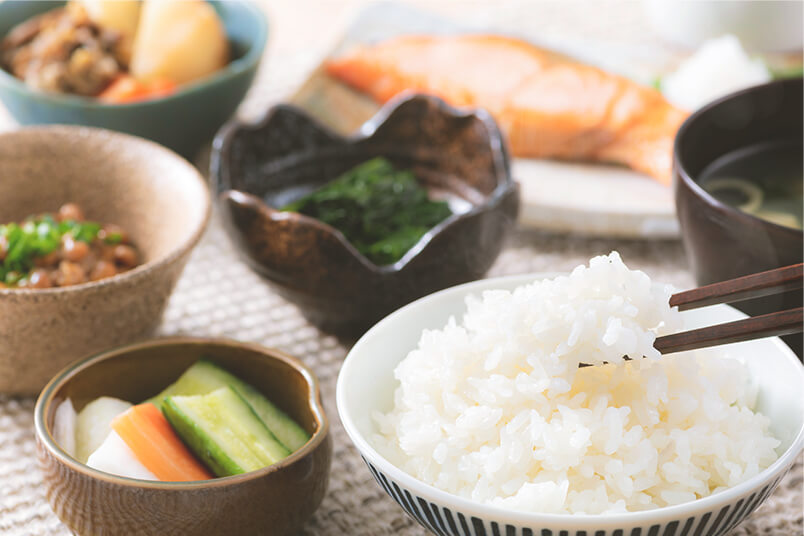 管理栄養士による栄養指導